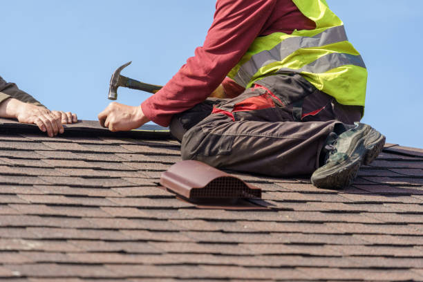 Best Residential Roofing Contractor  in Trempealeau, WI