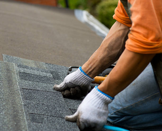 Best Storm Damage Roof Repair  in Trempealeau, WI