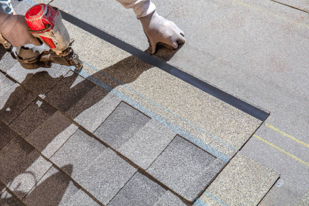Best Roof Repair Services  in Trempealeau, WI