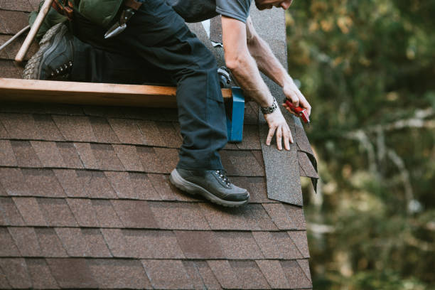 Best Residential Roofing Contractor  in Trempealeau, WI
